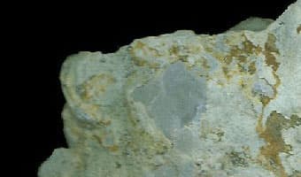 Glauconite — Wikipédia