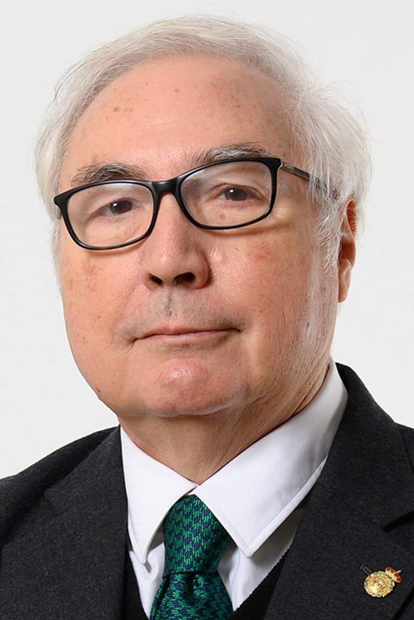 Manuel Castells — Wikipédia