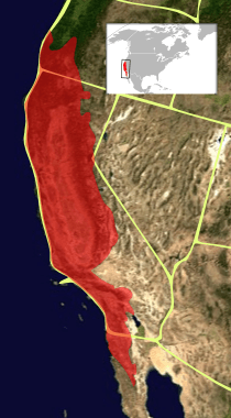 California floristic province - Wikipedia