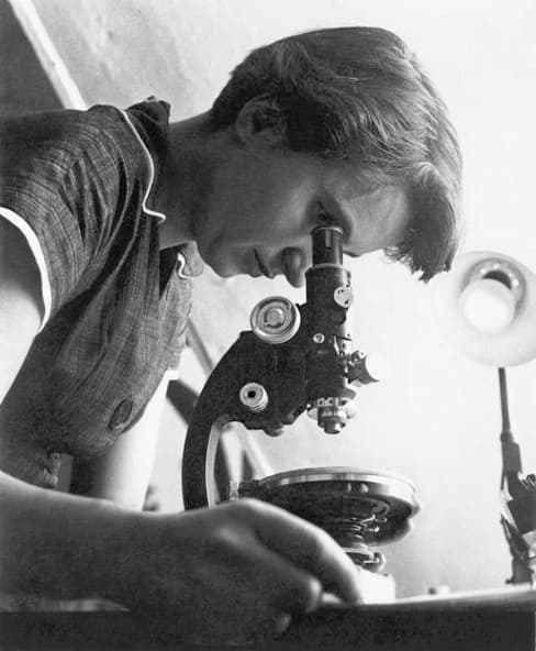 Rosalind Franklin - Wikipedia