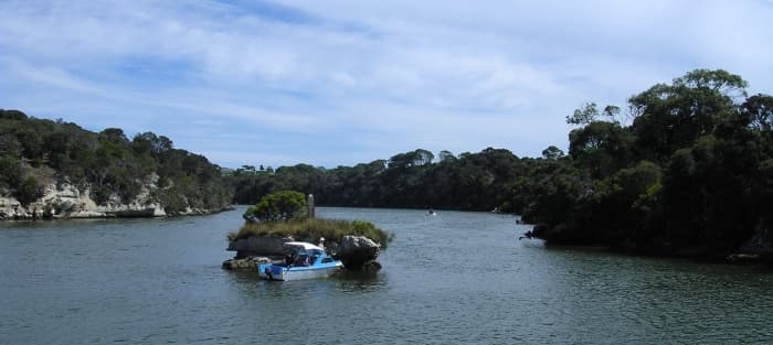 Île fluviale — Wikipédia
