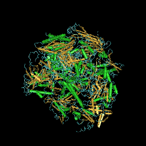 ARN-polymérase II — Wikipédia