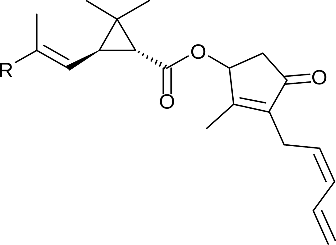 Cyclopropanation — Wikipédia