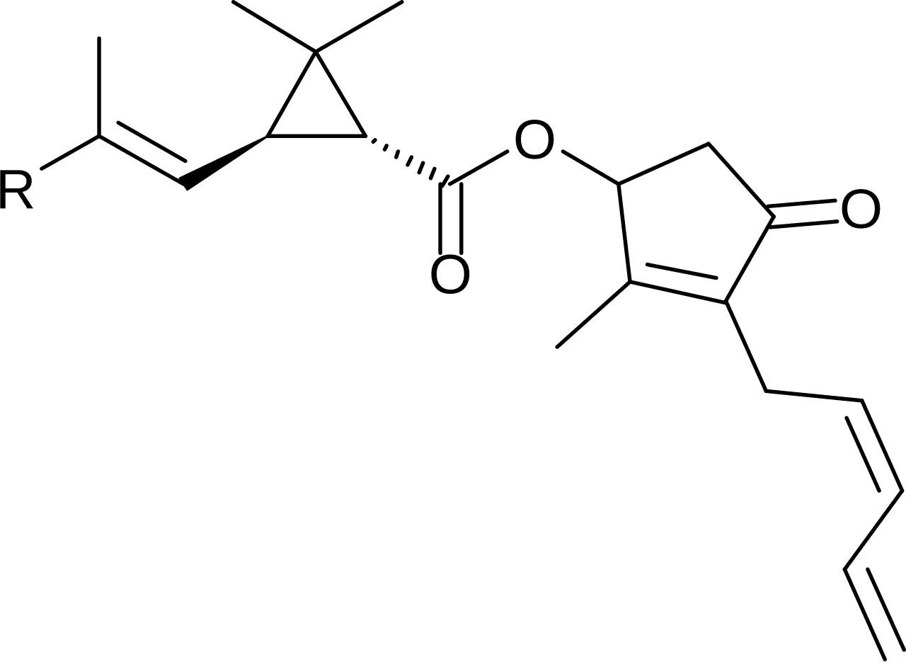 Cyclopropanation — Wikipédia