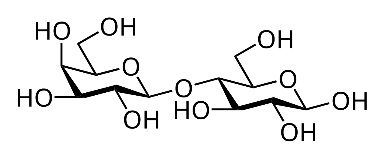 Carbohydrate - Wikipedia