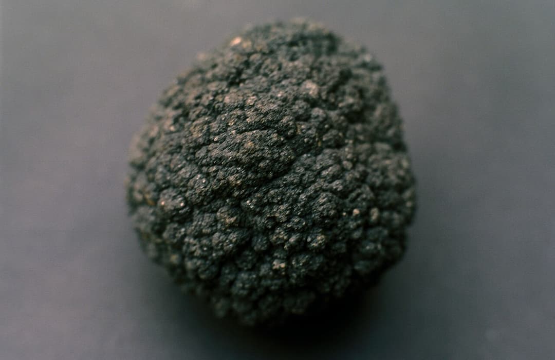 Manganese nodule - Wikipedia