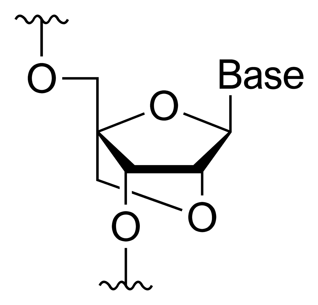 Locked nucleic acid - Wikipedia