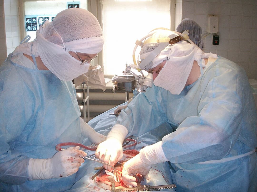 Laminotomy - Wikipedia