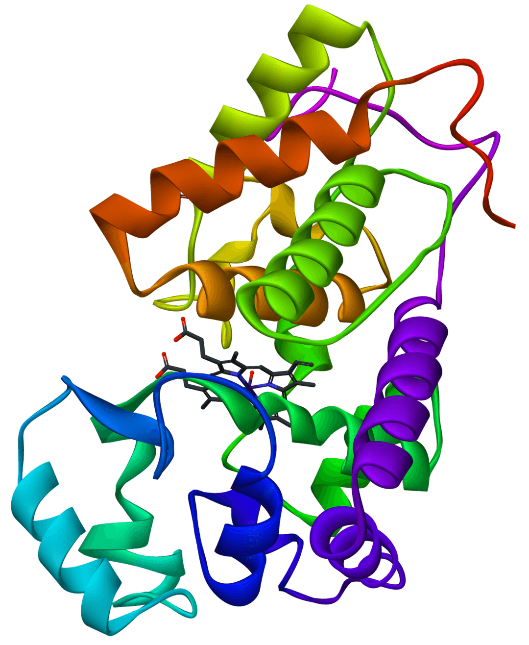 Horseradish peroxidase - Wikipedia