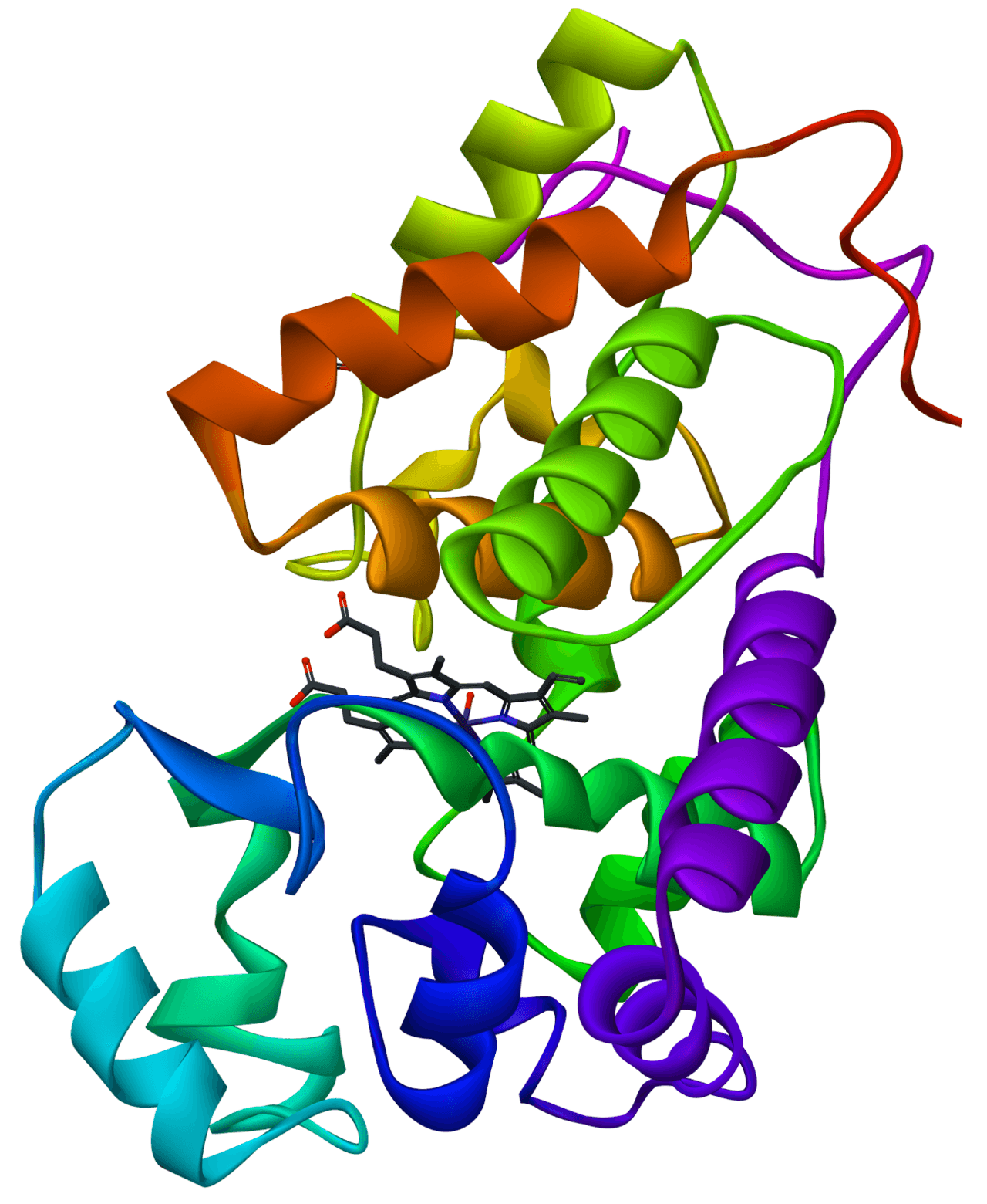 Horseradish peroxidase - Wikipedia