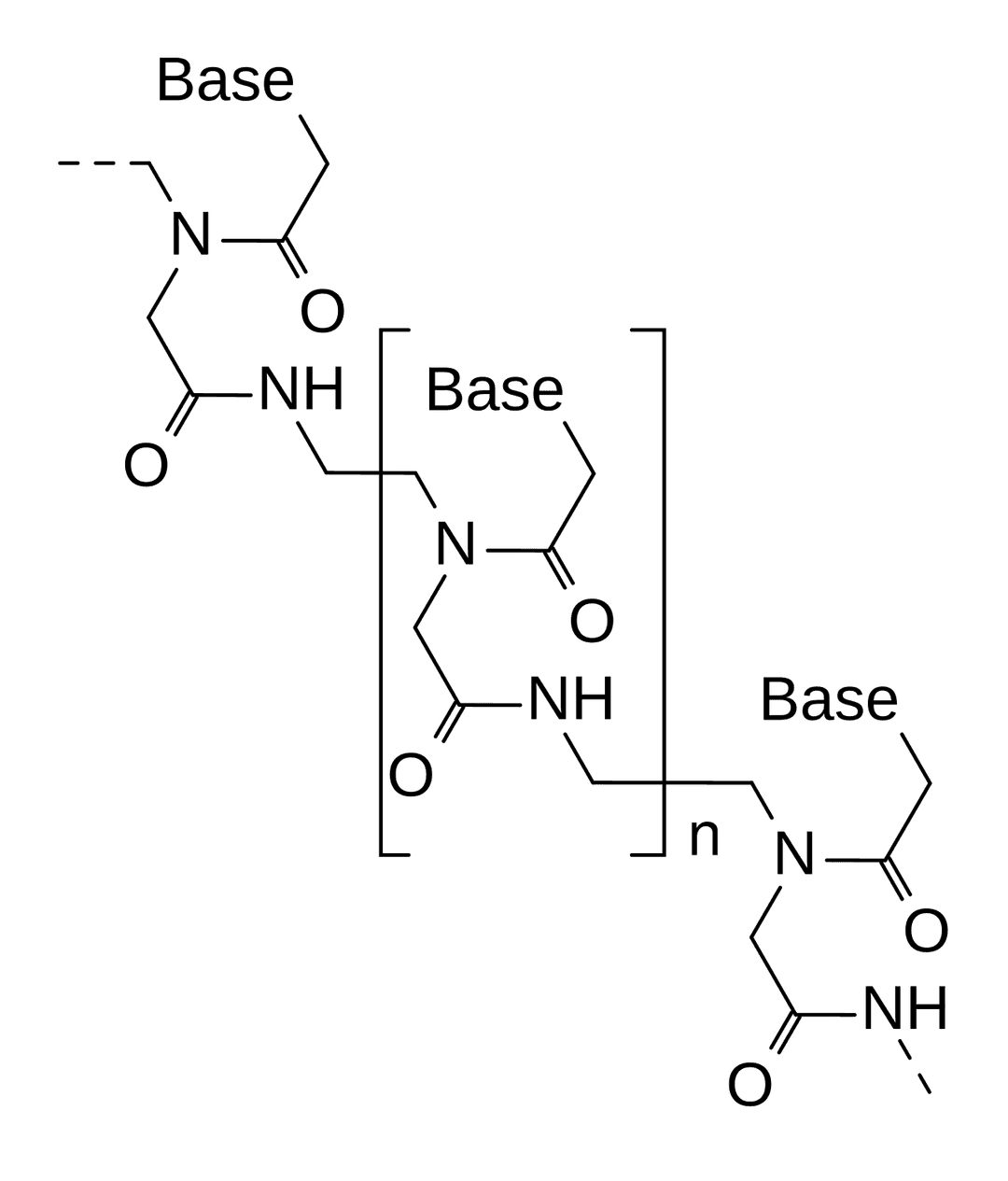 Peptide nucleic acid - Wikipedia