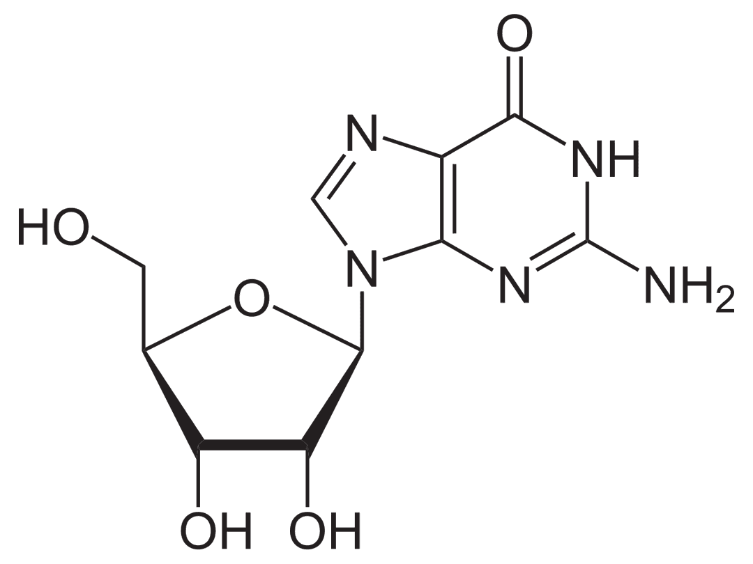 Nucléoside — Wikipédia