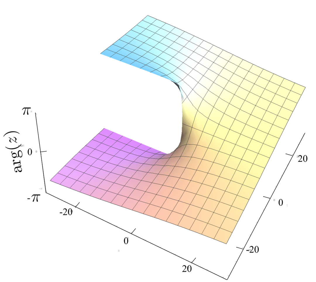 Détermination d'une fonction multivaluée — Wikipédia