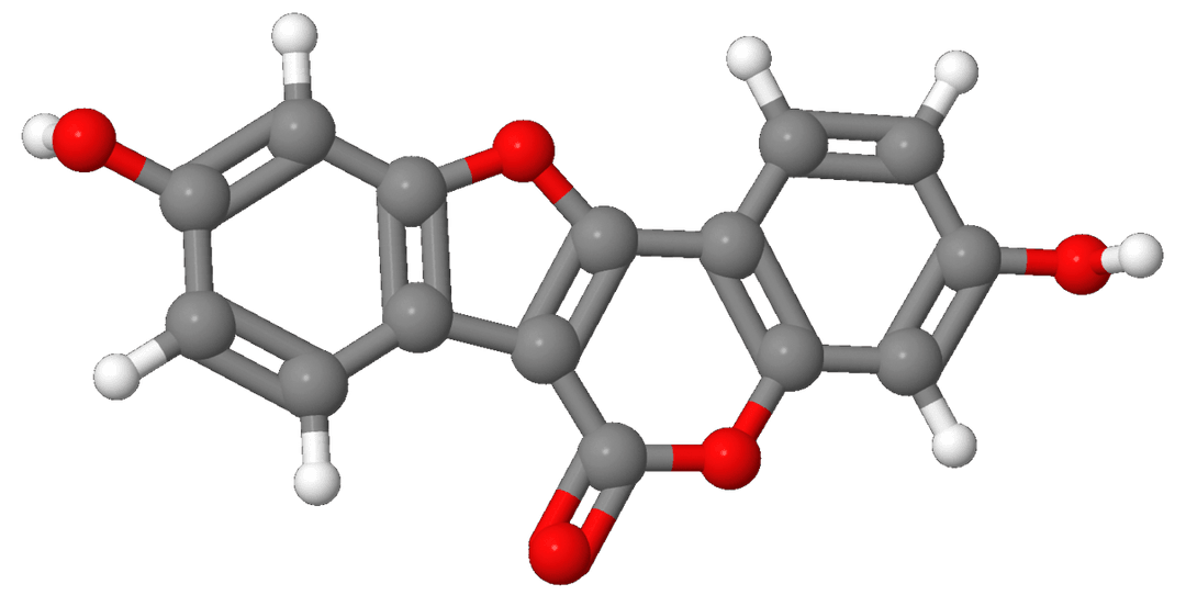 Coumestrol — Wikipédia