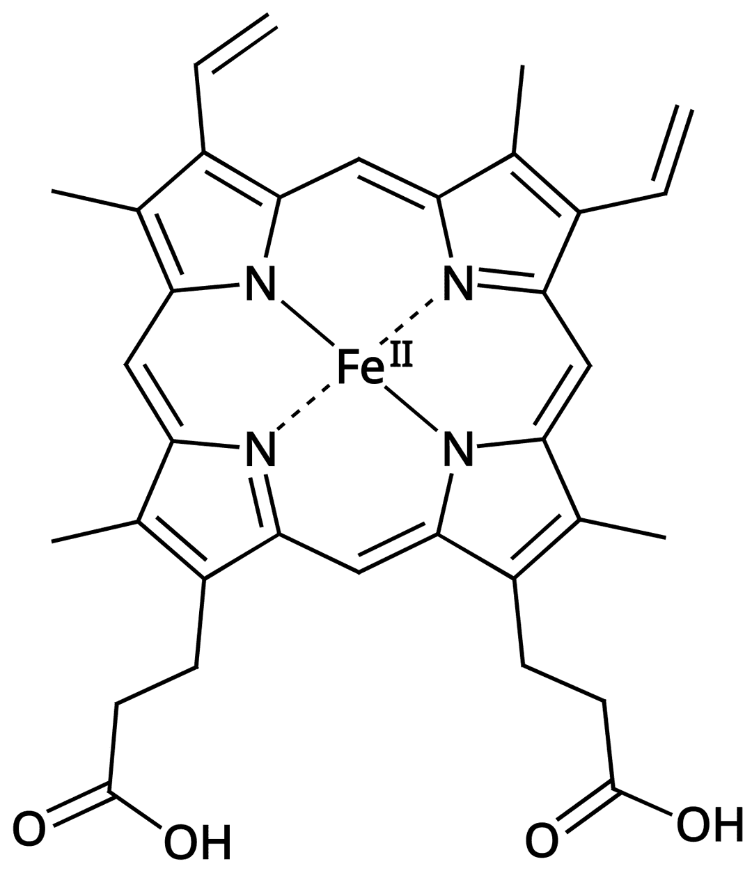 Iron deficiency - Wikipedia