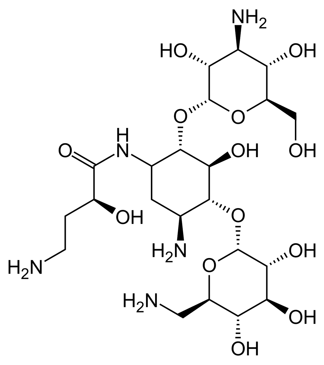 Amikacine — Wikipédia