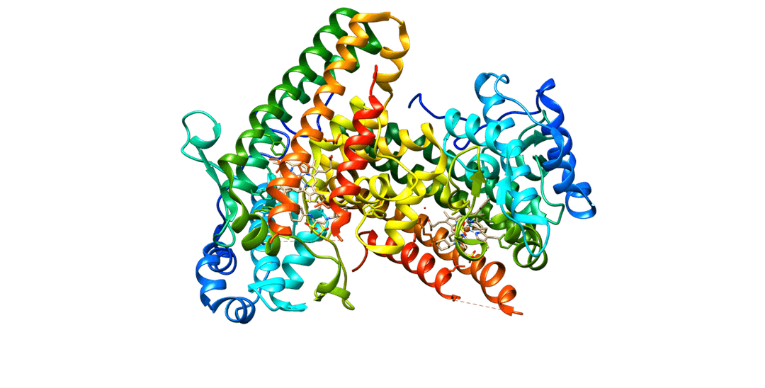Indoleamine 2,3-dioxygenase - Wikipedia
