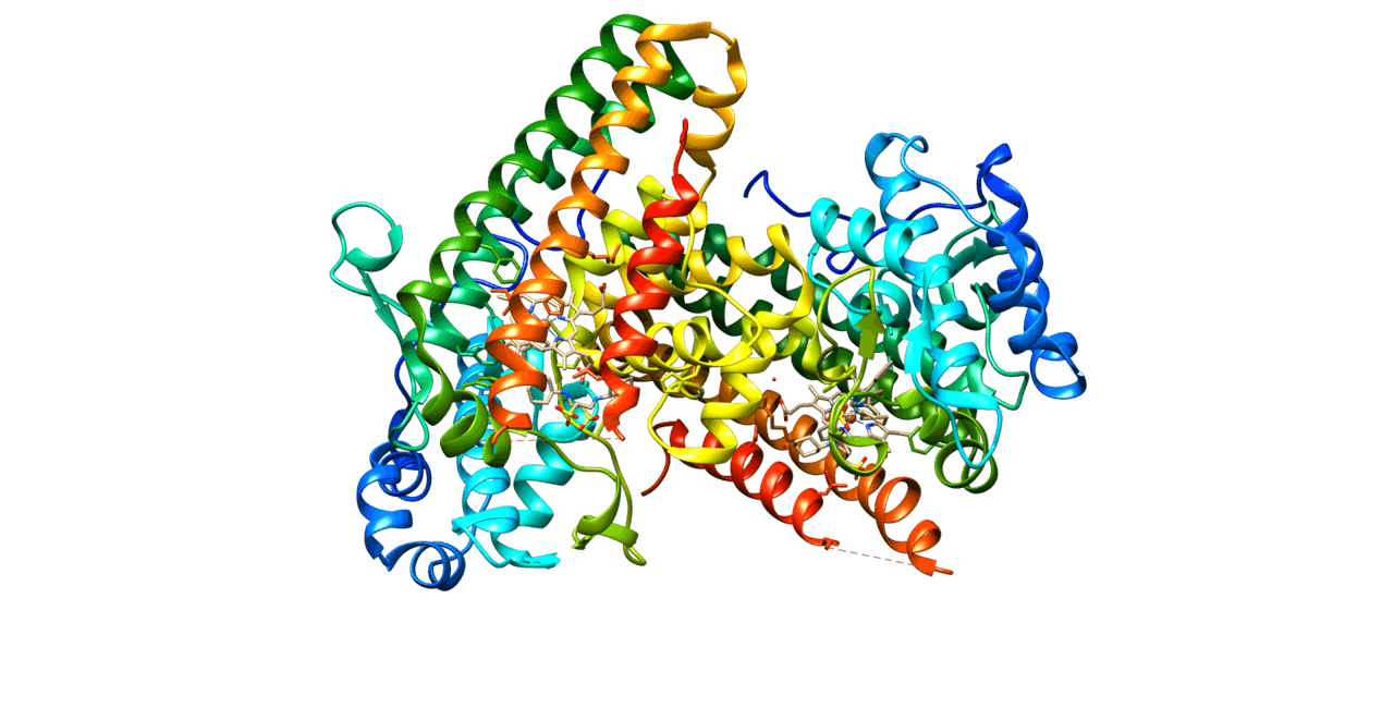 Indoleamine 2,3-dioxygenase - Wikipedia