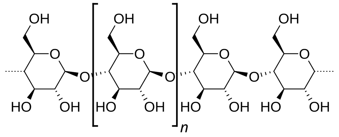 Amylose — Wikipédia