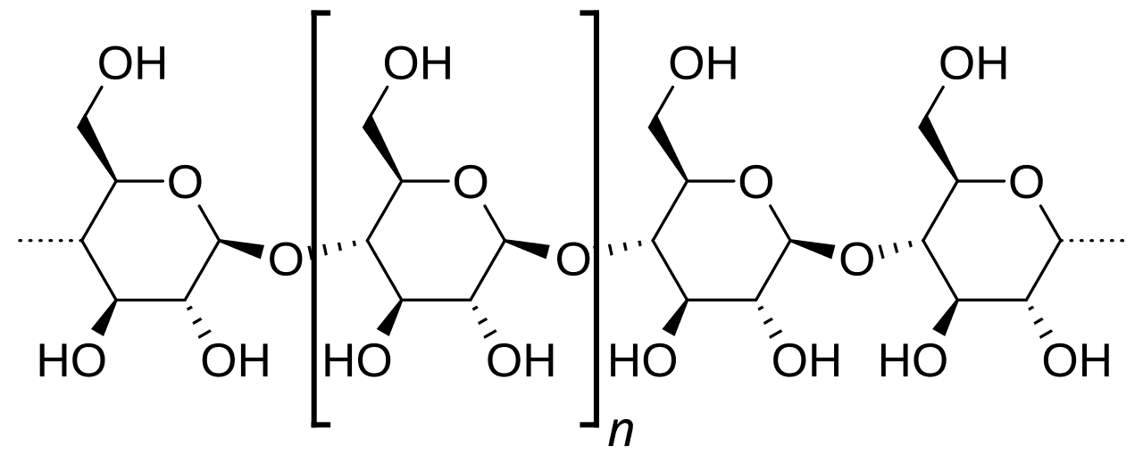 Amylose — Wikipédia