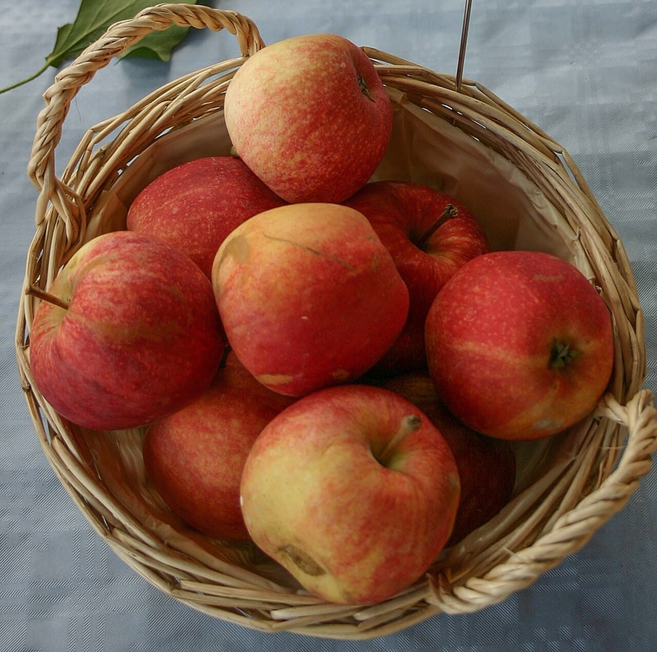 Gala (pomme) — Wikipédia