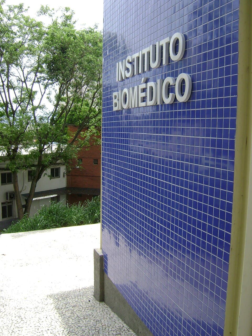 Biomédecine — Wikipédia