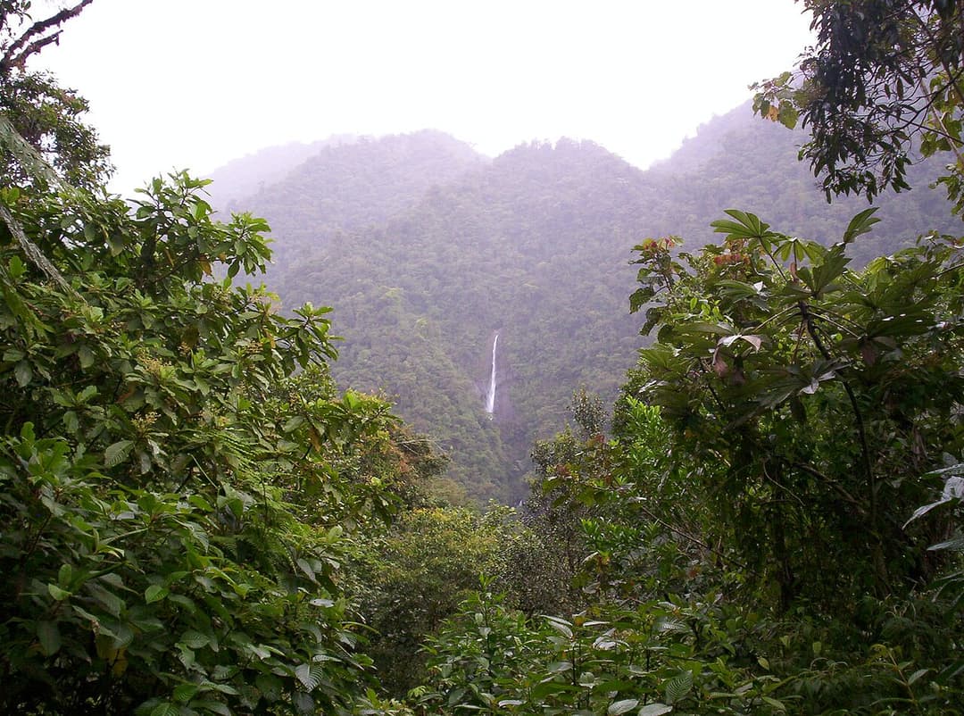 Écotourisme — Wikipédia