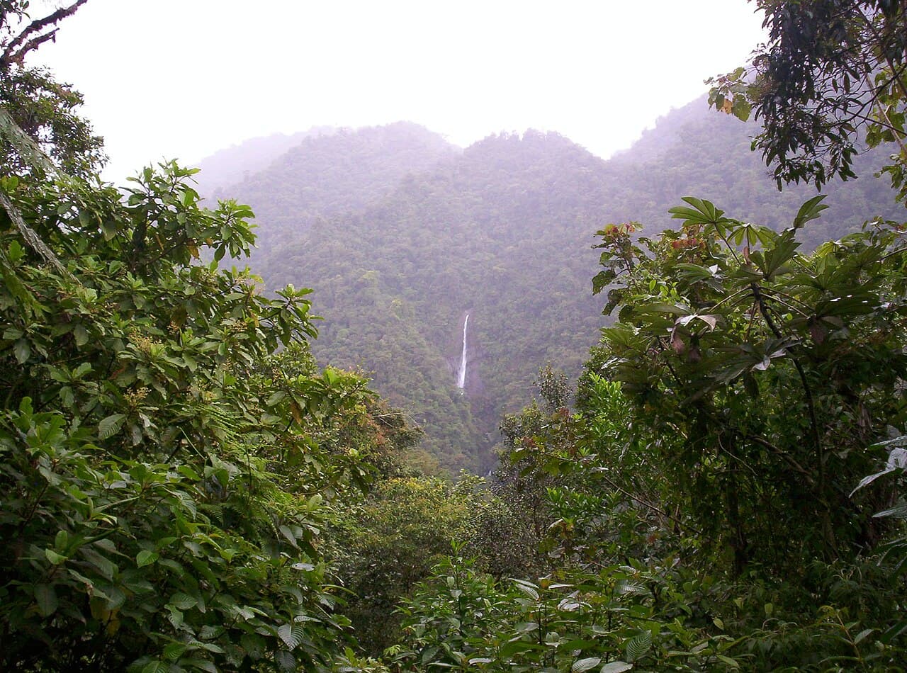 Écotourisme — Wikipédia