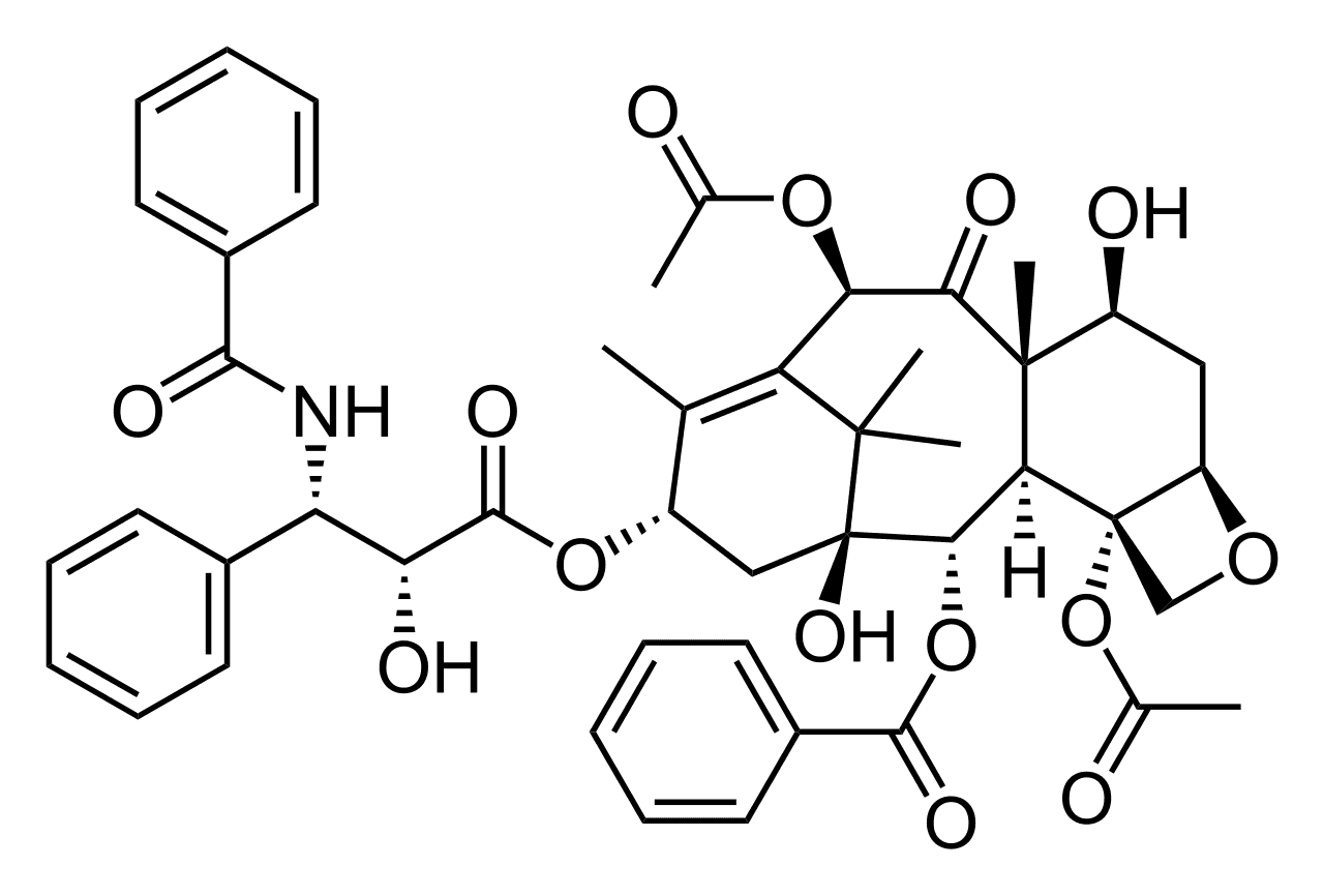 Paclitaxel - Wikipedia