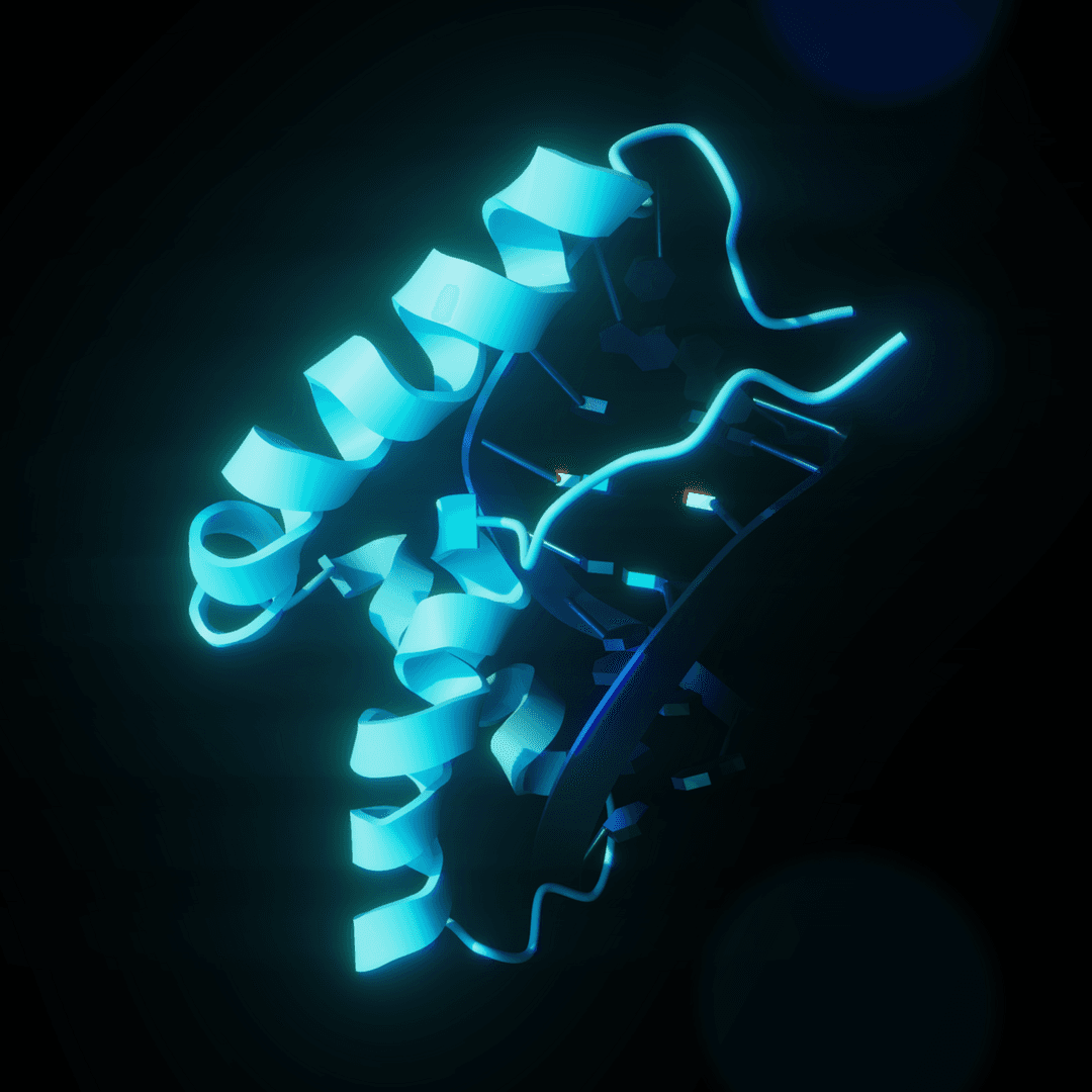 Sex-determining region Y protein - Wikipedia