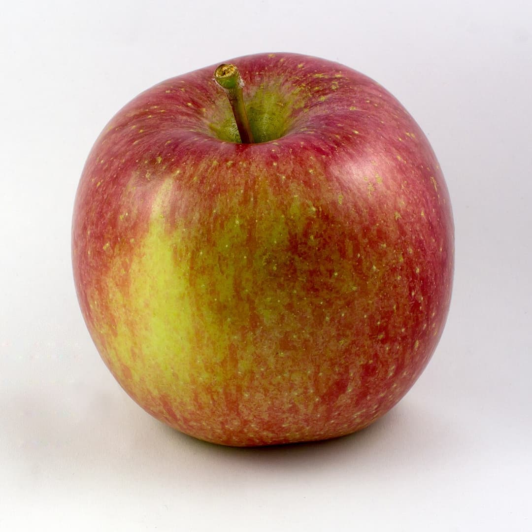 Fuji (apple) - Wikipedia