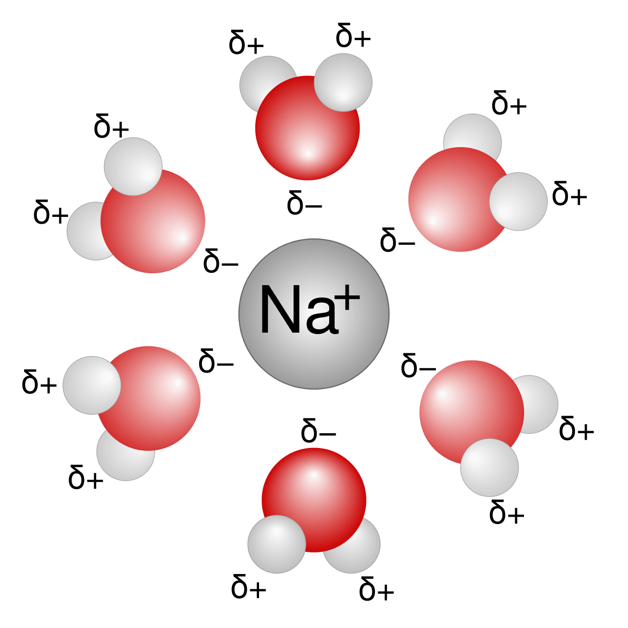 Solvatation — Wikipédia