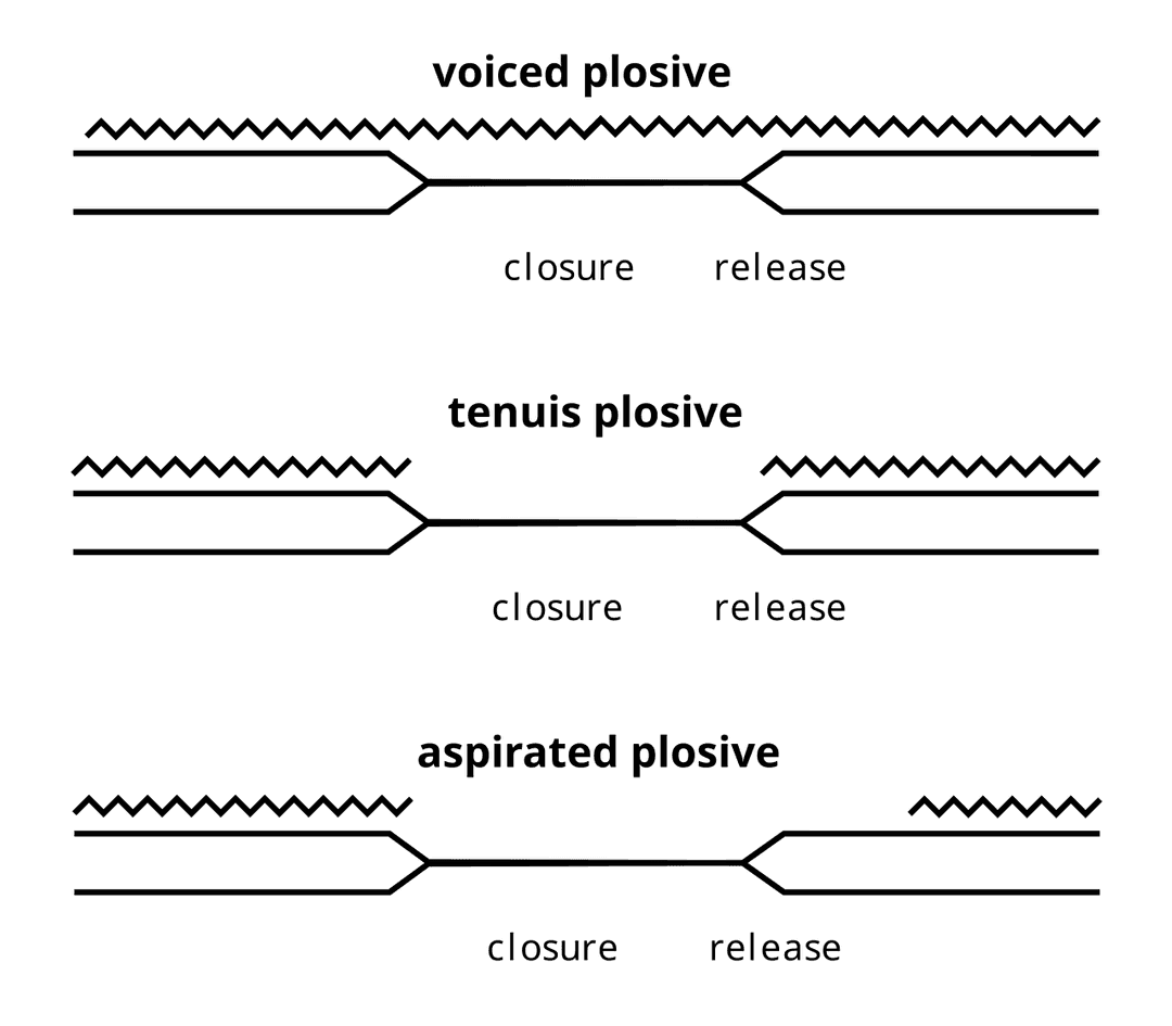 Voice onset time - Wikipedia