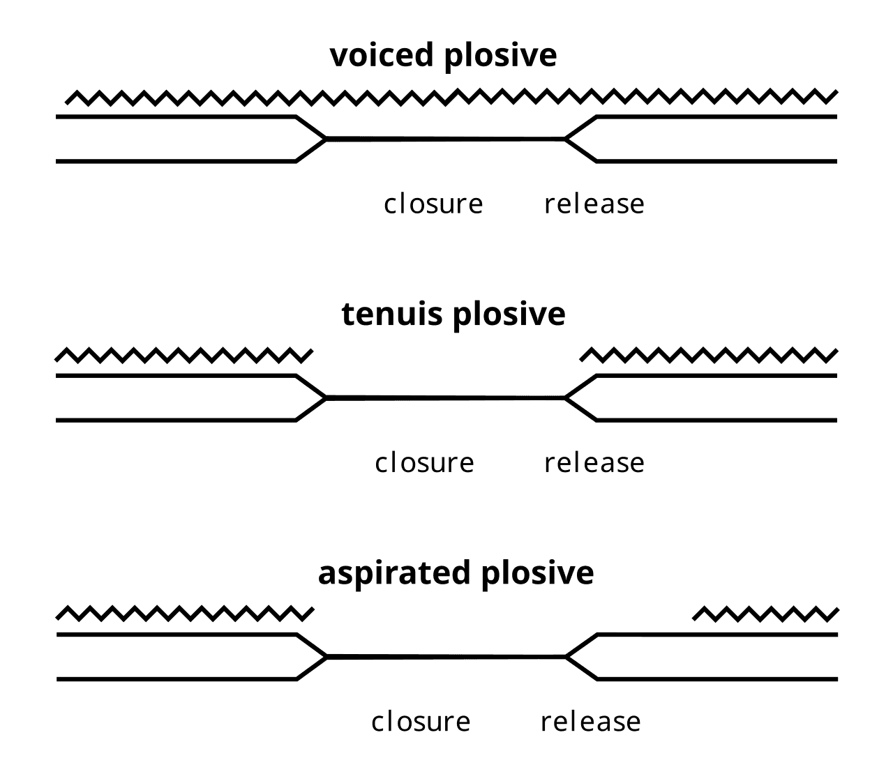 Voice onset time - Wikipedia