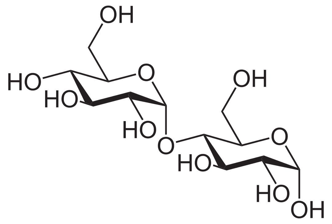 Maltose - Wikipedia