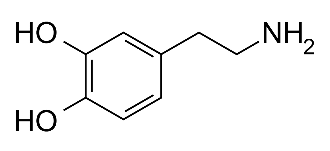 Dopaminergic - Wikipedia