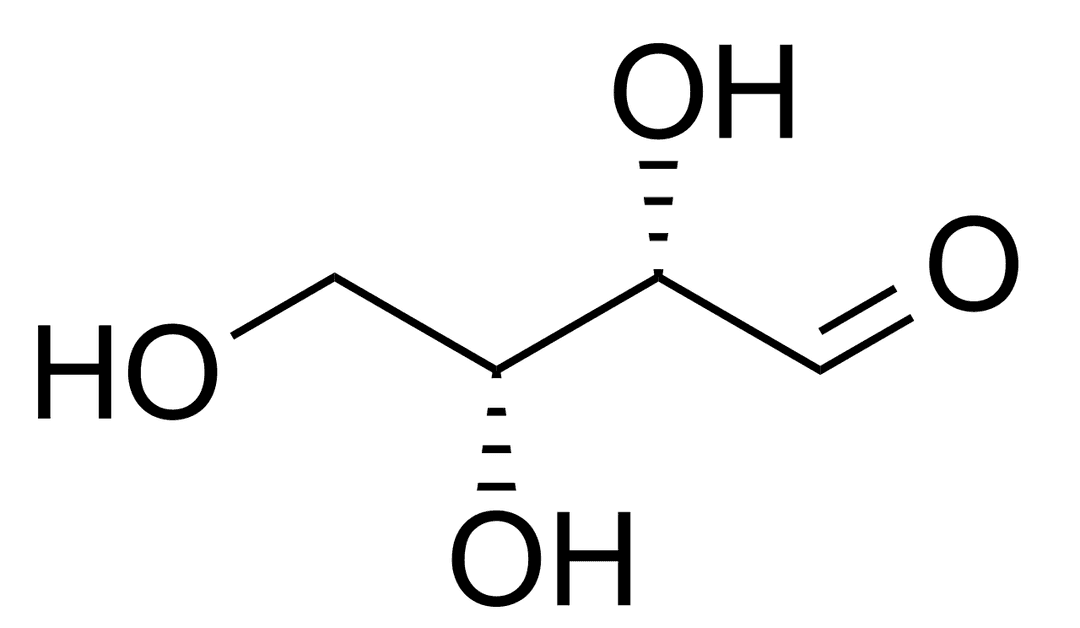 Acide nucléique à thréose — Wikipédia