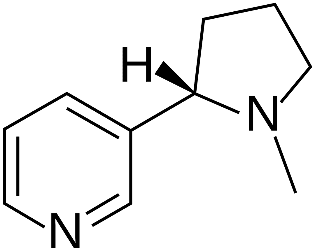 Récepteur nicotinique — Wikipédia