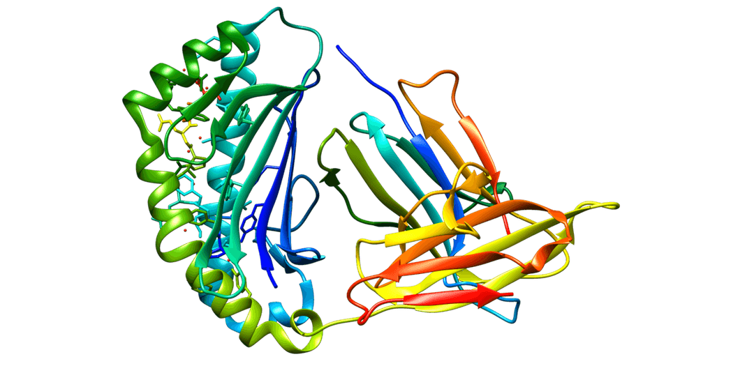 Alpha-fetoprotein - Wikipedia