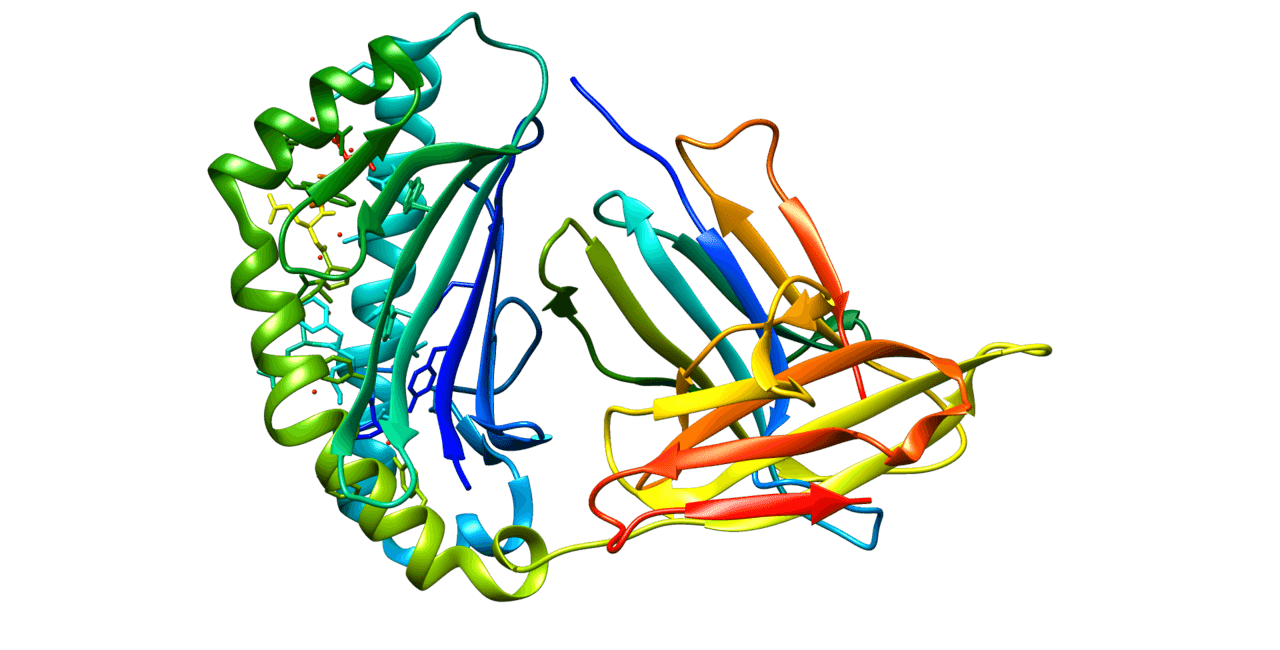 Alpha-fetoprotein - Wikipedia