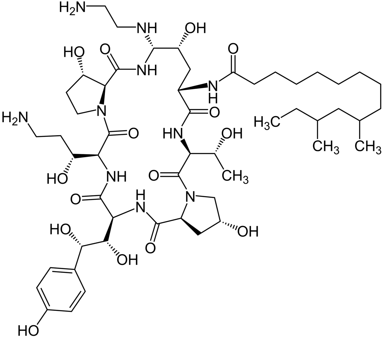Caspofungine — Wikipédia