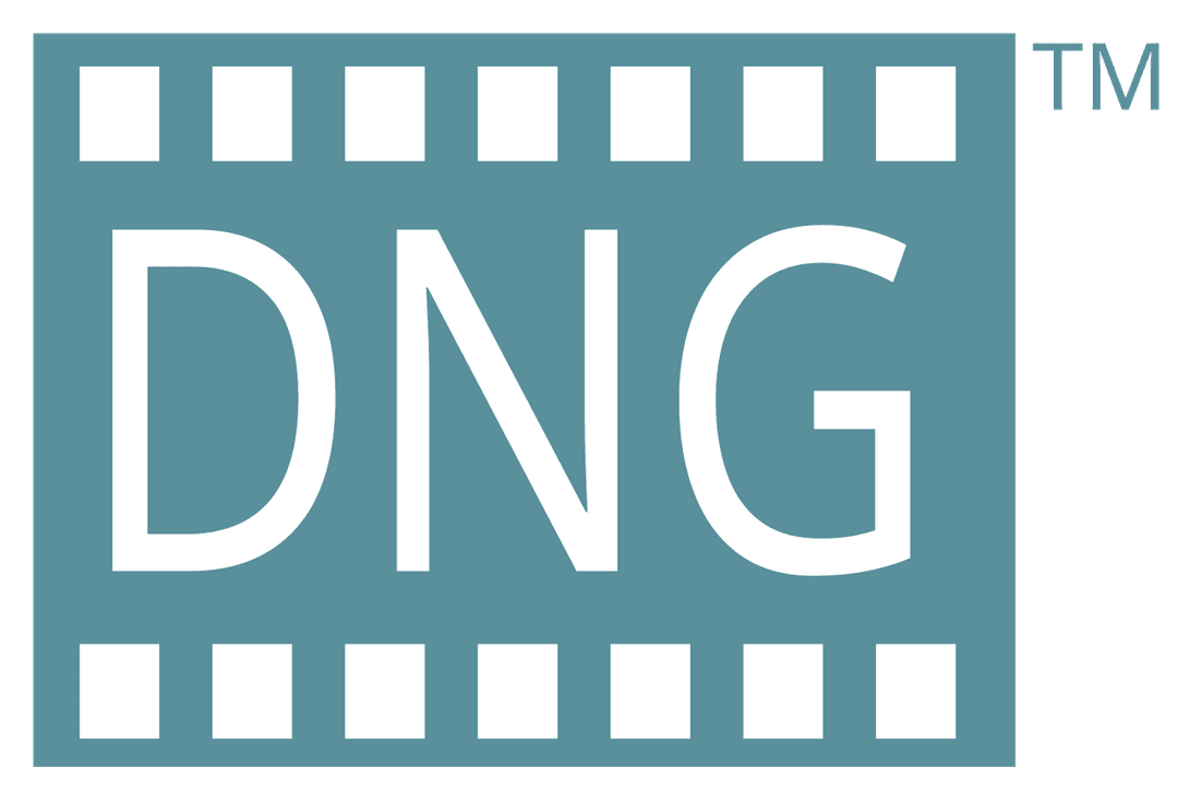 Digital Negative — Wikipédia