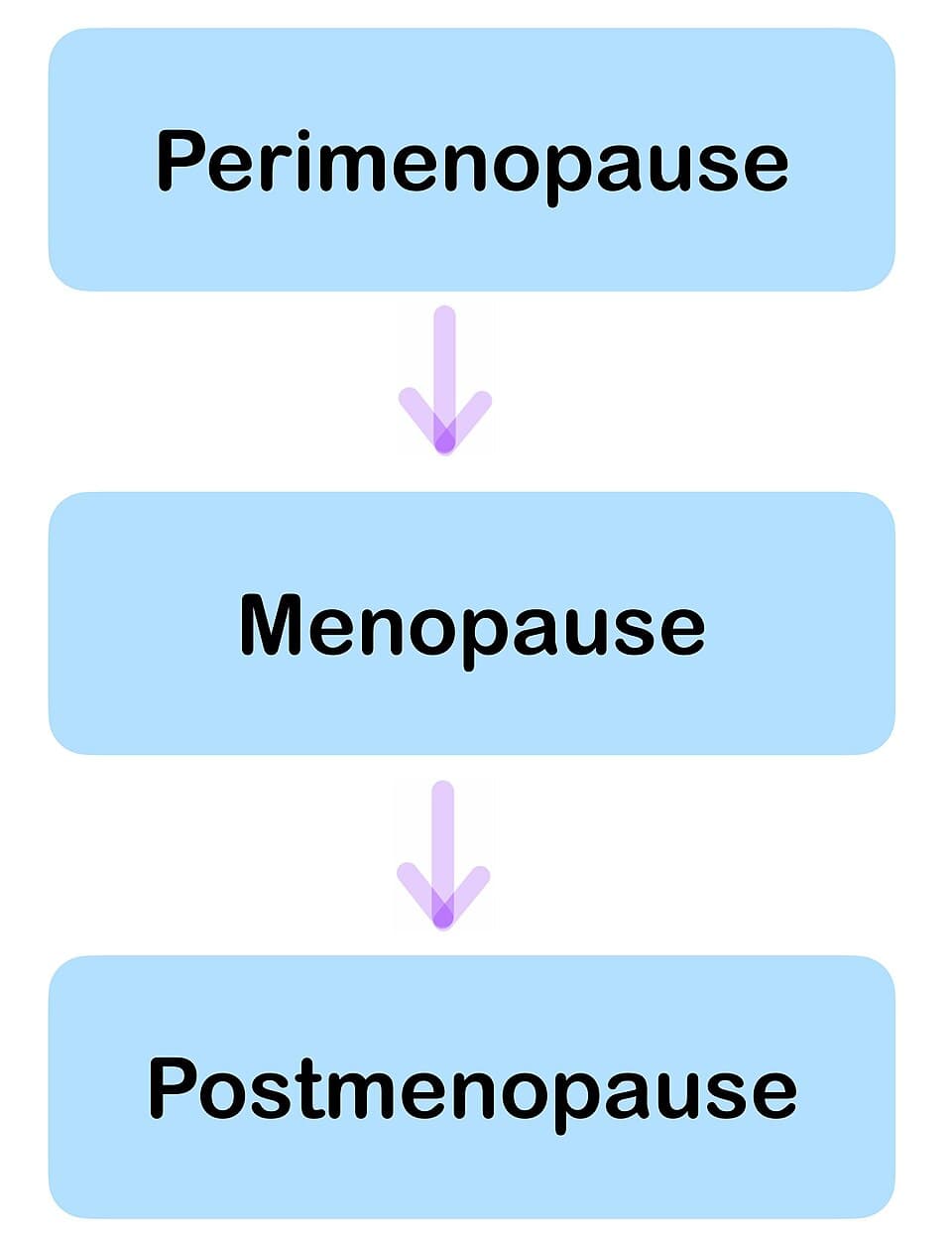 Ménopause — Wikipédia