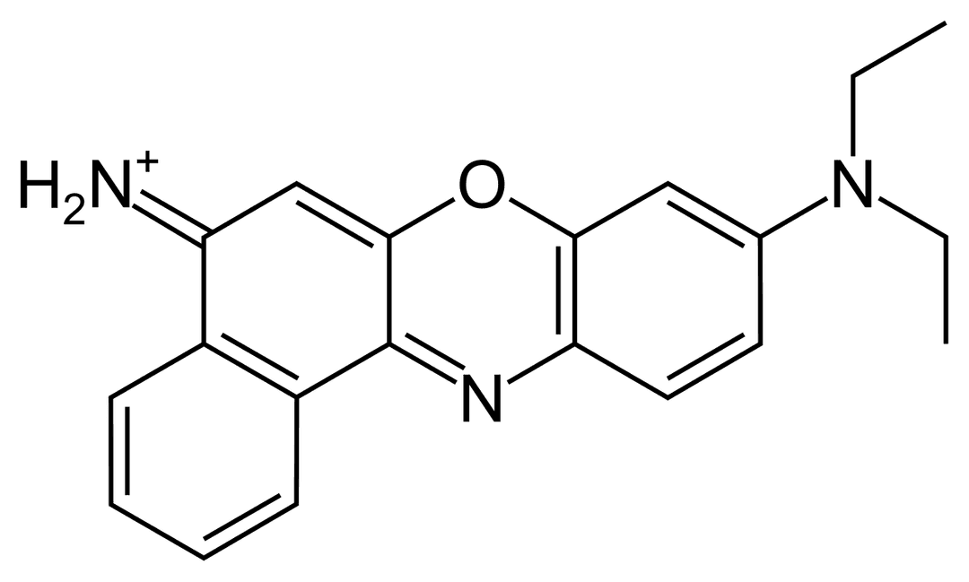 Nile blue - Wikipedia