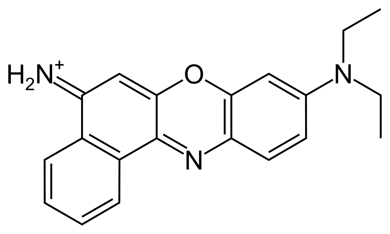 Nile blue - Wikipedia