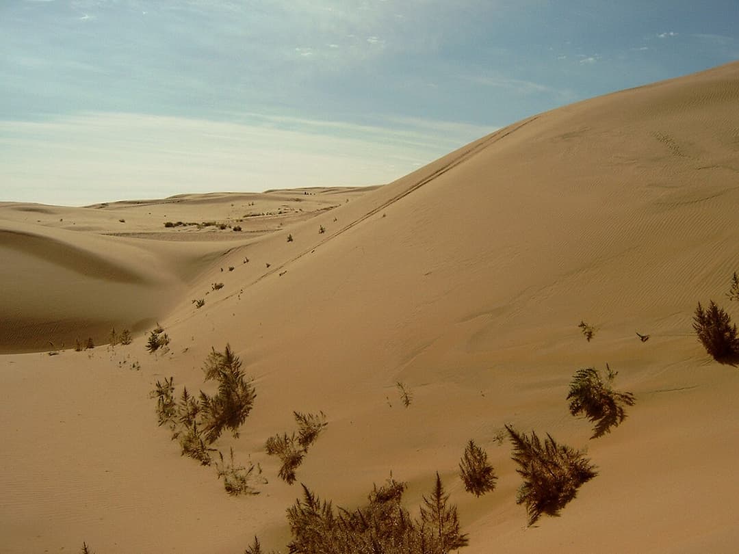 Gobi Desert - Wikipedia