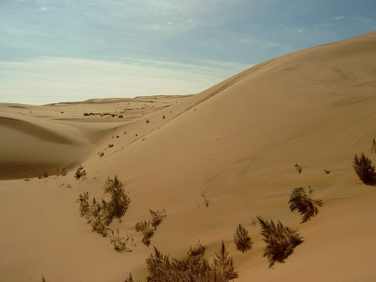 Gobi Desert - Wikipedia