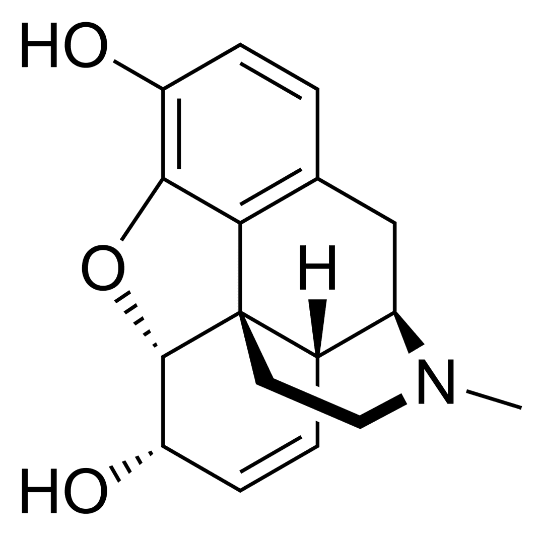 Morphine - Wikipedia