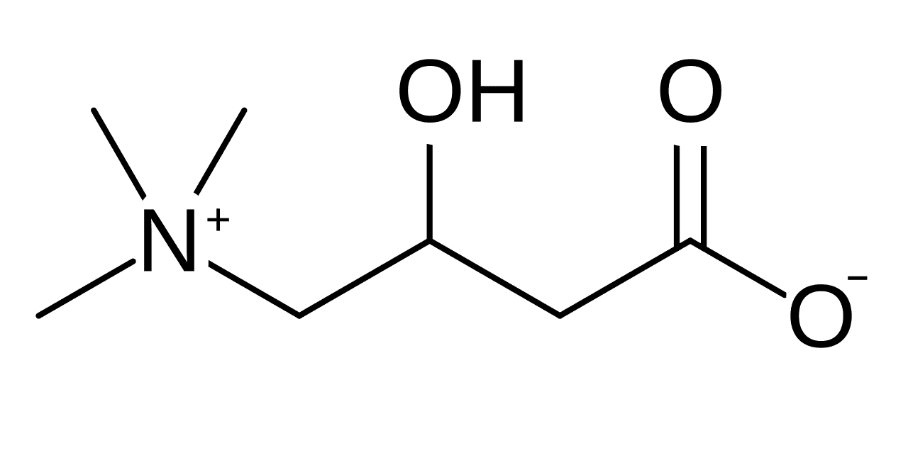 Carnitine - Wikipedia