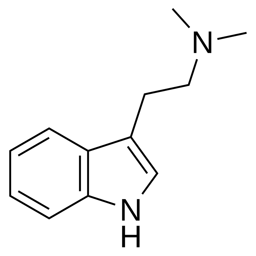 Dimethyltryptamine - Wikipedia